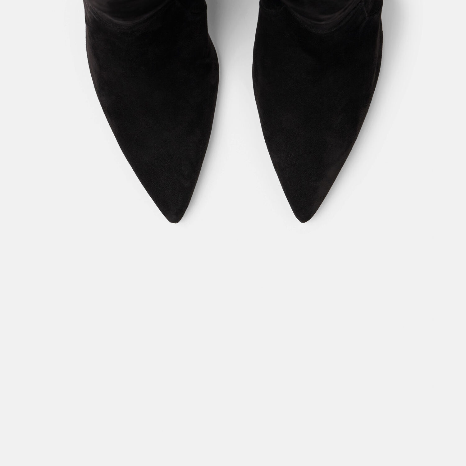 Scarosso X Brian Atwood Carra Knee In Black - Suede