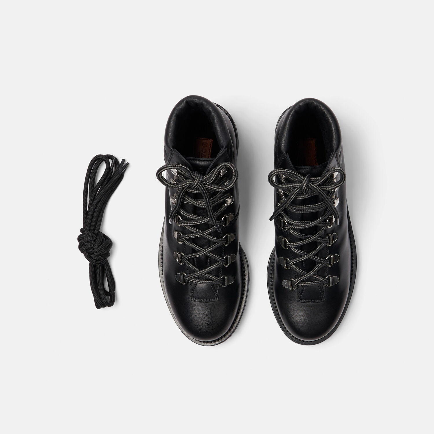 Scarosso Catherine Boots In Black - Calf