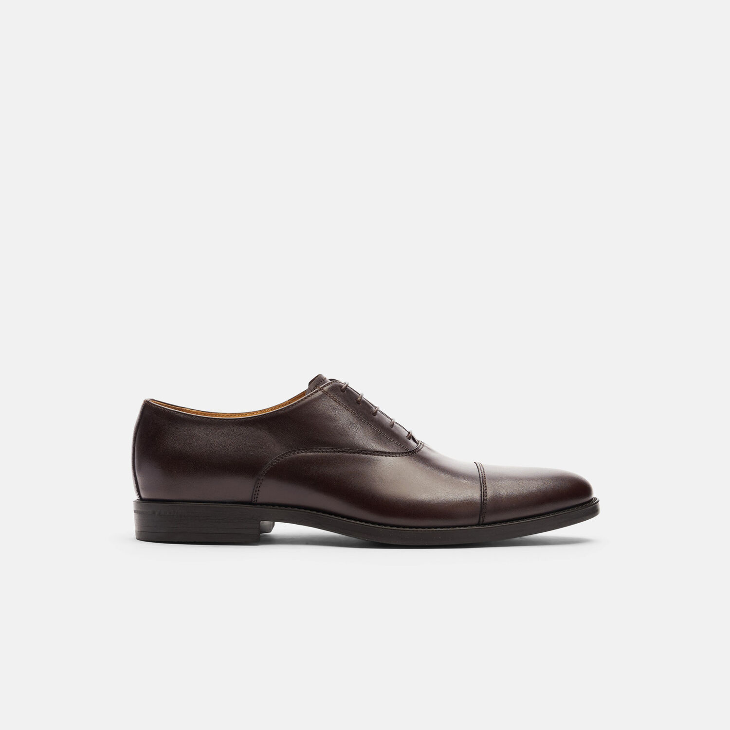 Scarosso Oxfords Cesare Moro Calf Leather In Dark Brown Calf