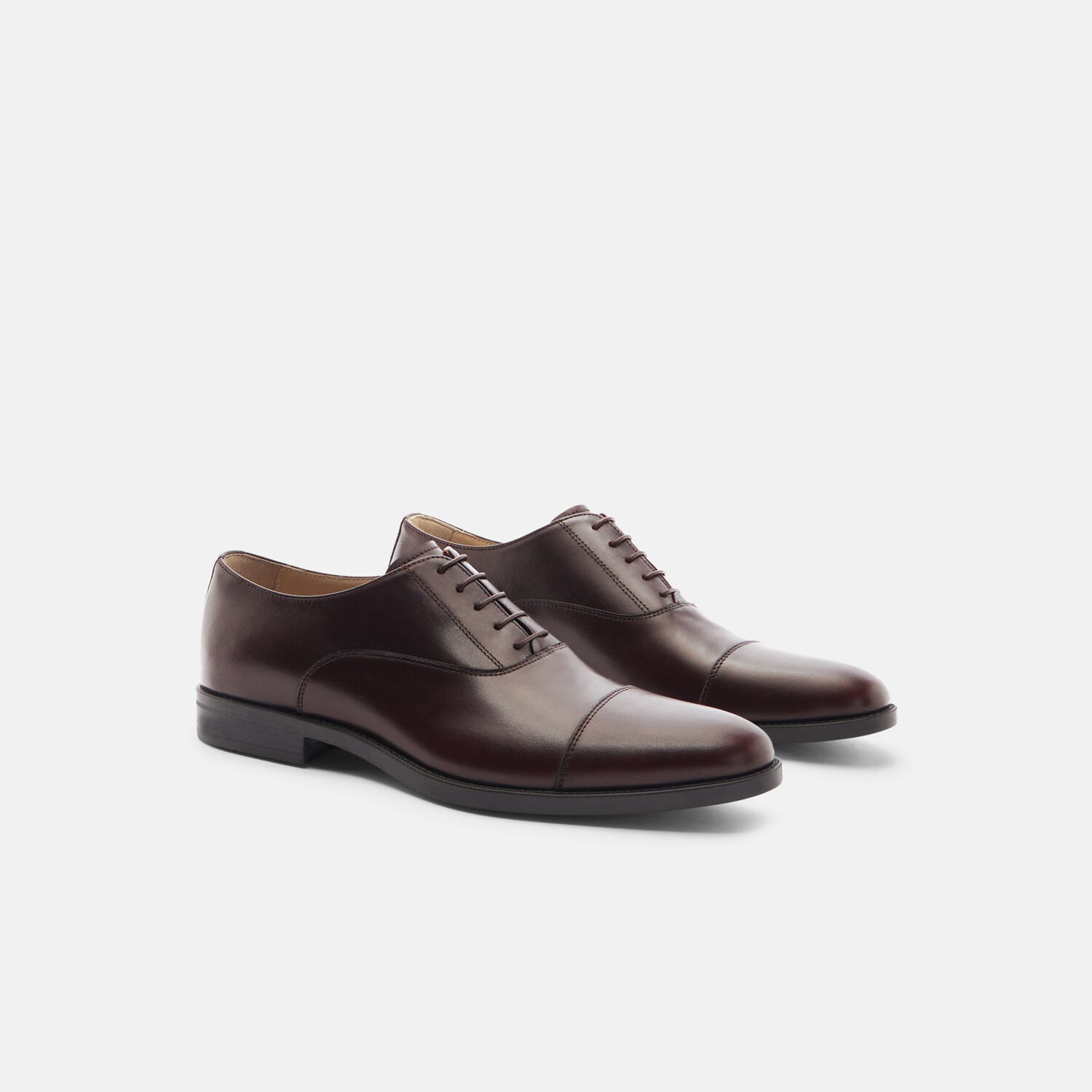 Scarosso Oxfords Cesare Moro Calf Leather In Dark Brown Calf