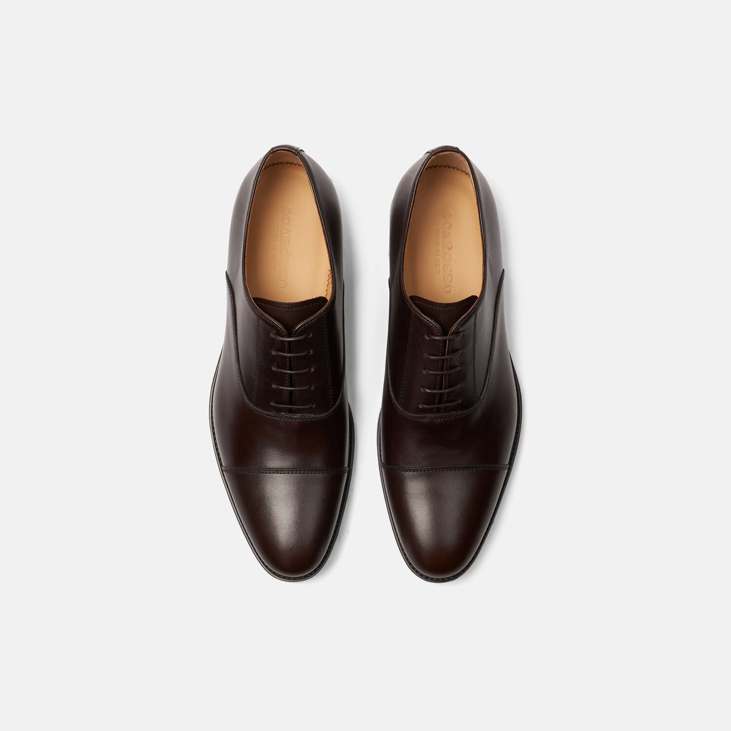 Scarosso Oxfords Cesare Moro Calf Leather In Dark Brown Calf
