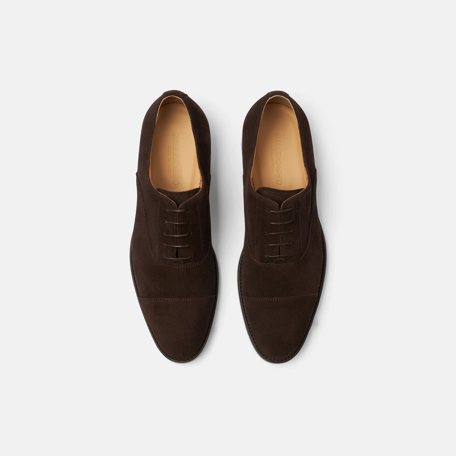 Scarosso Cesare Moro Scamosciato In Dark Brown Suede