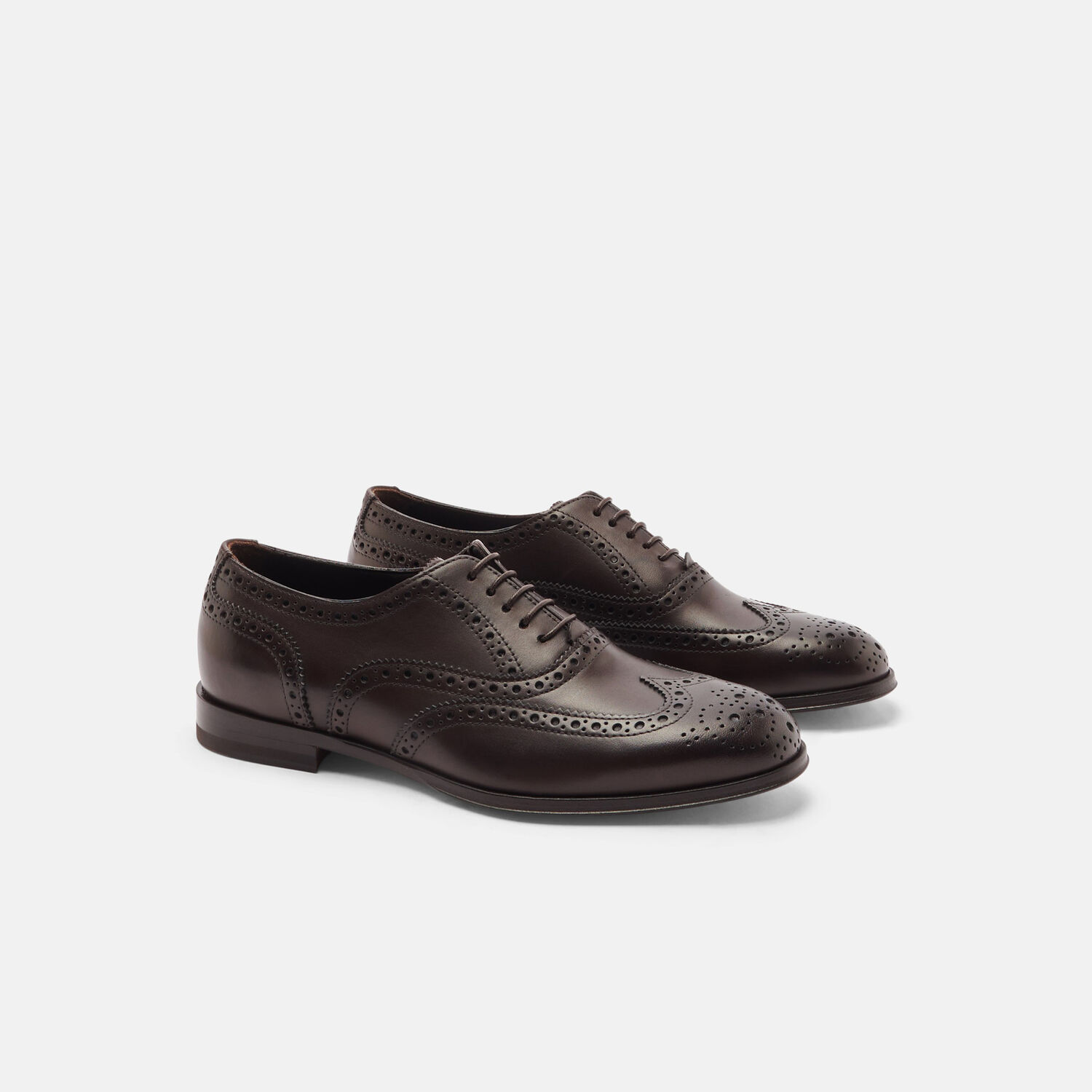 Scarosso Judy Brogues In Brown - Calf