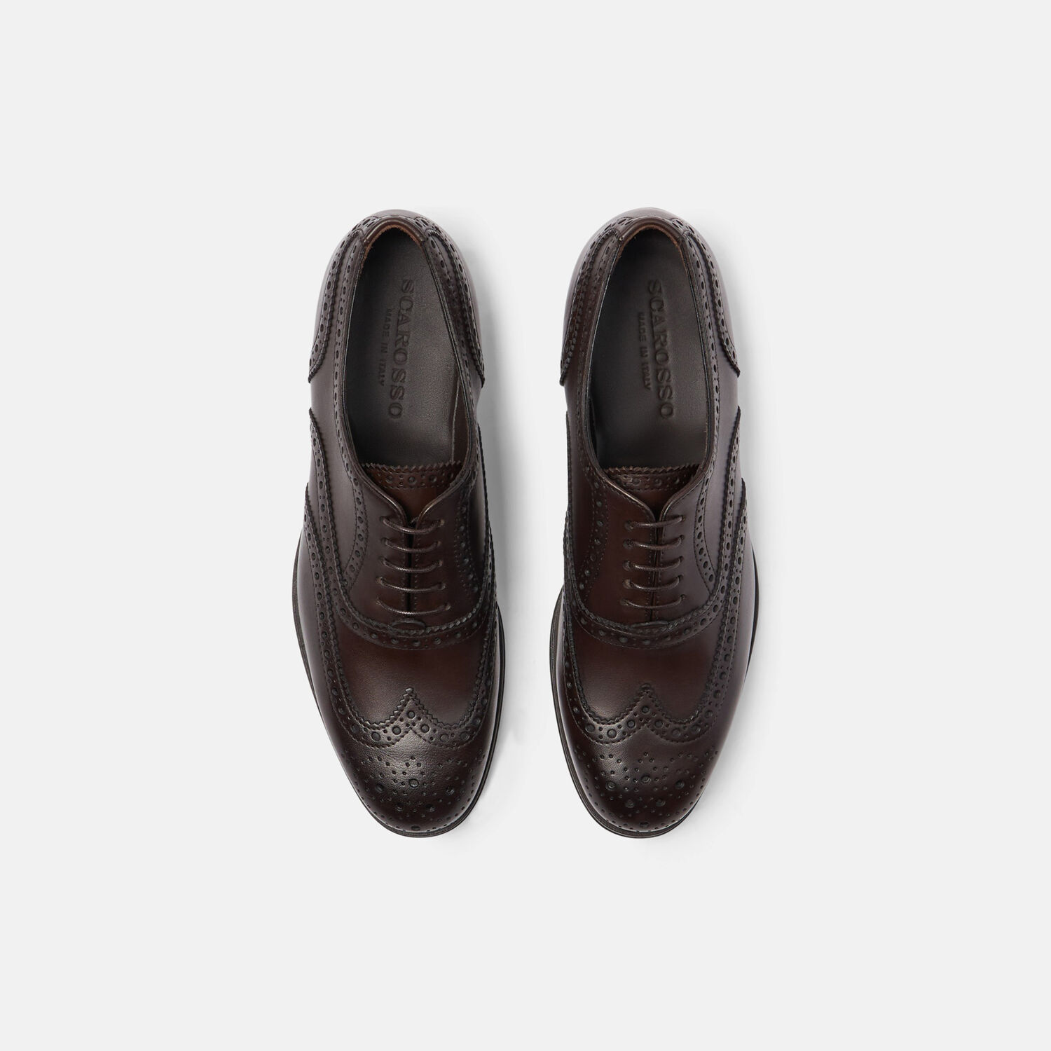 Scarosso Judy Brogues In Brown - Calf