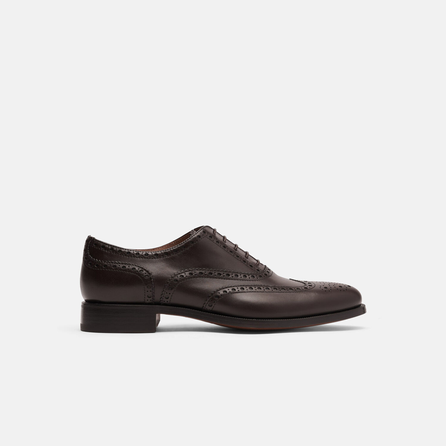 Scarosso Philip Classic Brogues In Brown Calf