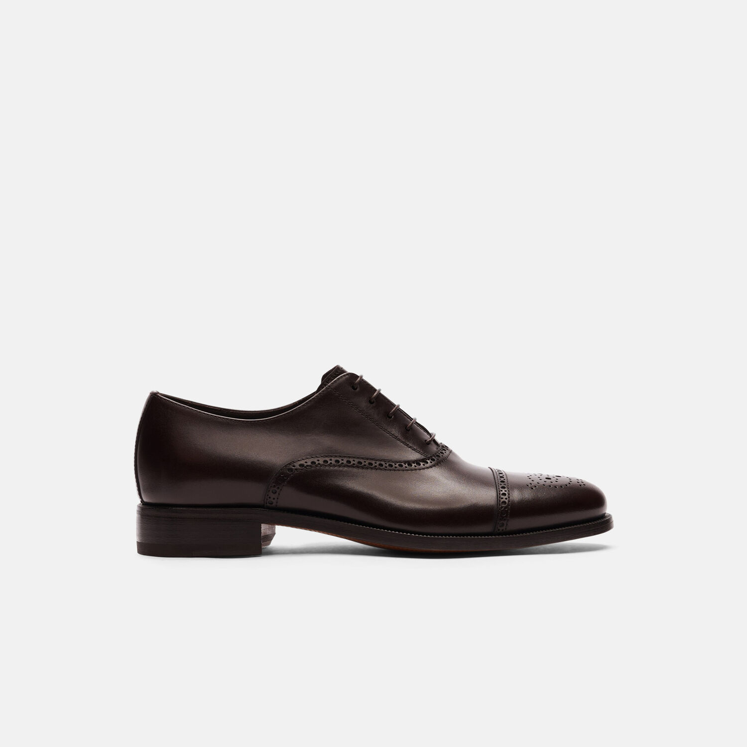 Scarosso Oxfords Silvio Calf Leather In Dark Brown Calf