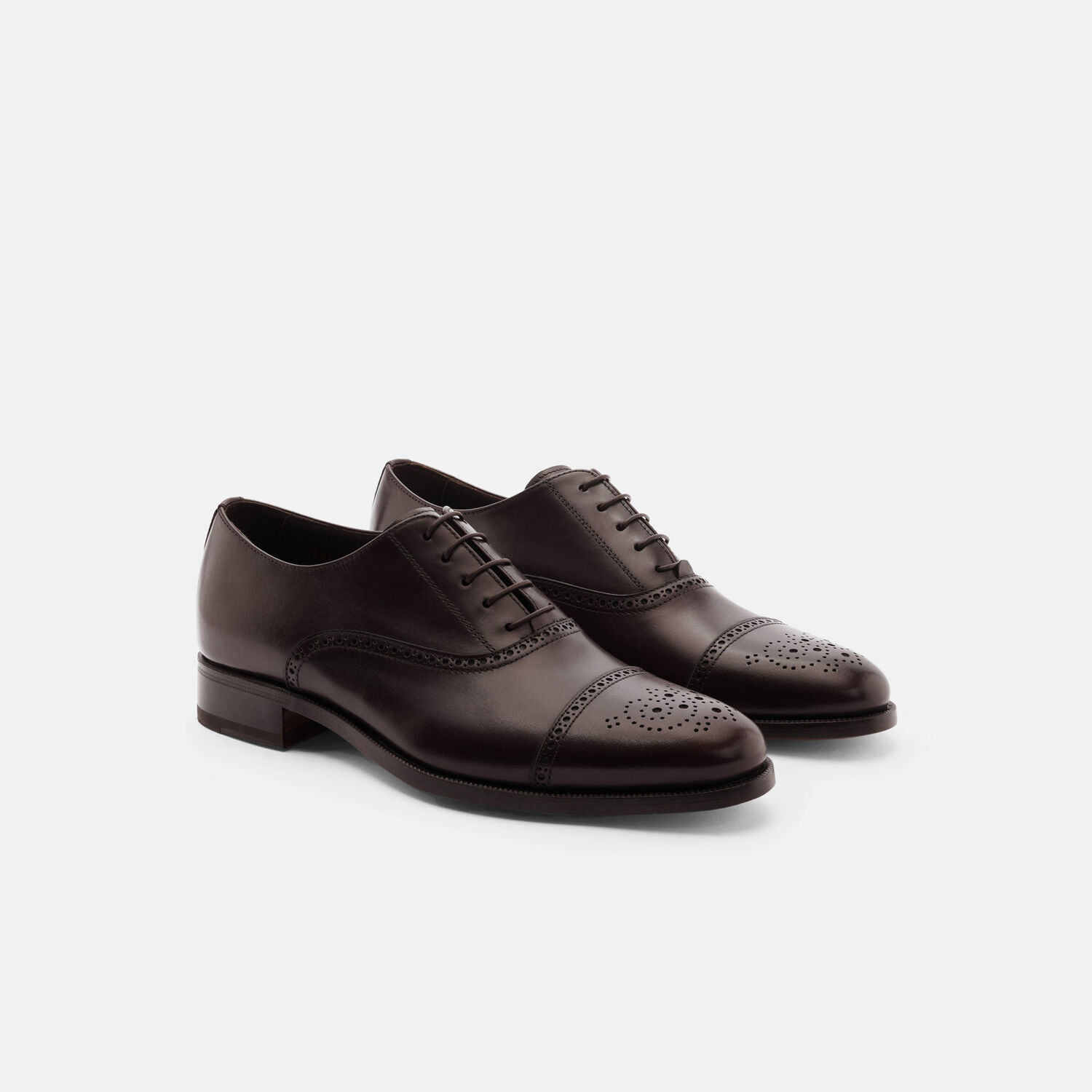 Scarosso Oxfords Silvio Calf Leather In Dark Brown Calf