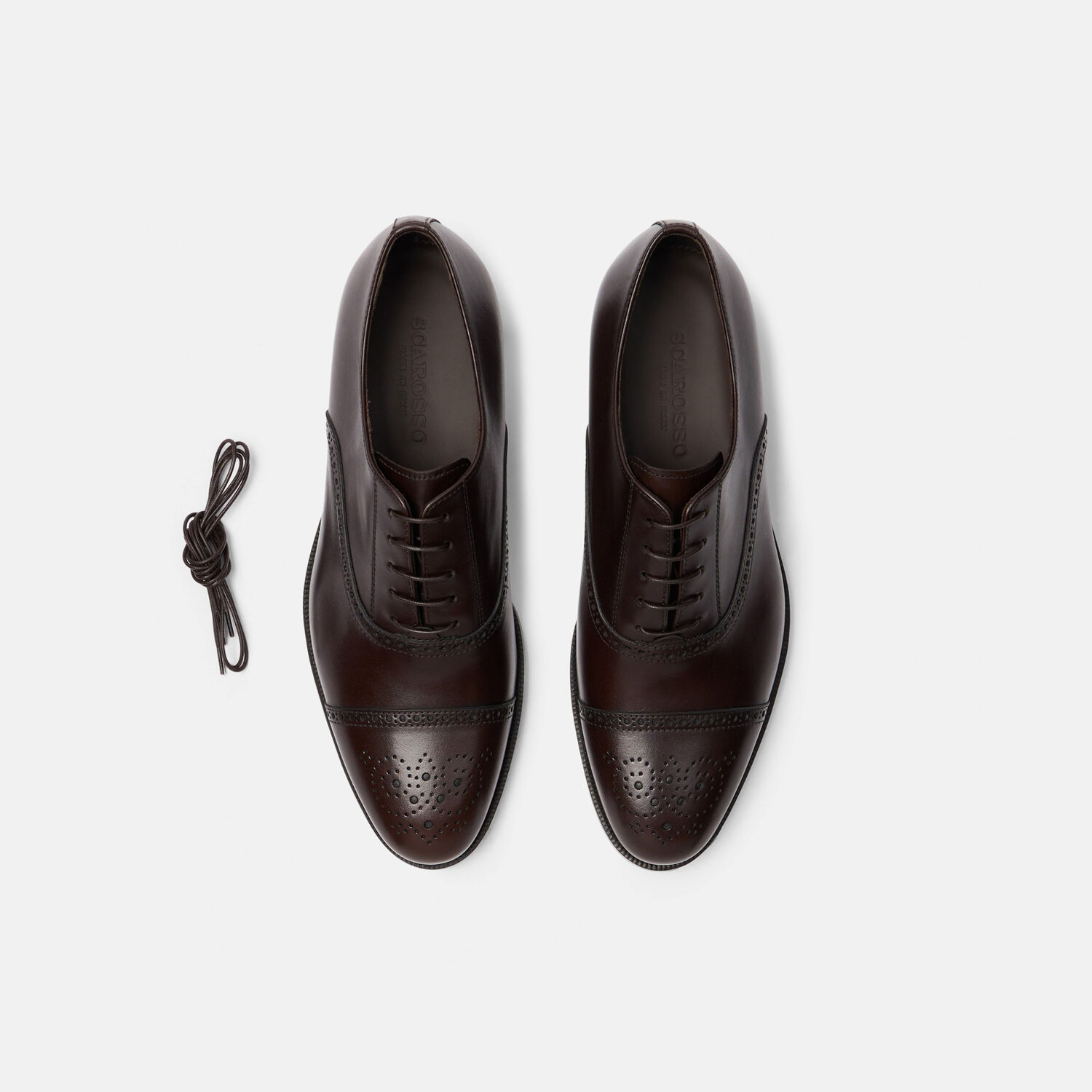 Scarosso Oxfords Silvio Calf Leather In Dark Brown Calf