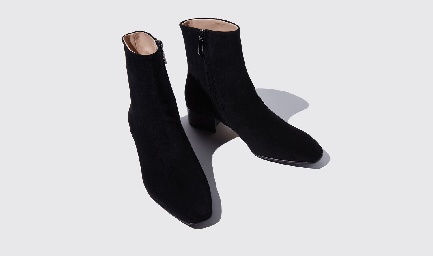 Shop Scarosso Ambra Nera Scamosciata - Woman Boots Black In Black - Suede