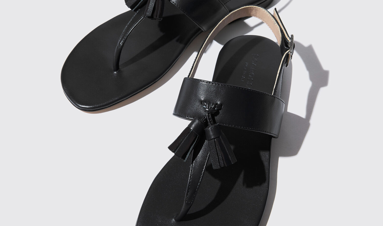 Shop Scarosso Emma Nera - Woman Sandals Black In Black - Calf