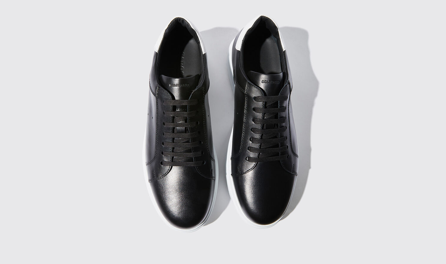 Shop Scarosso Dustin Black - Man Sneakers Black In Black - Calf