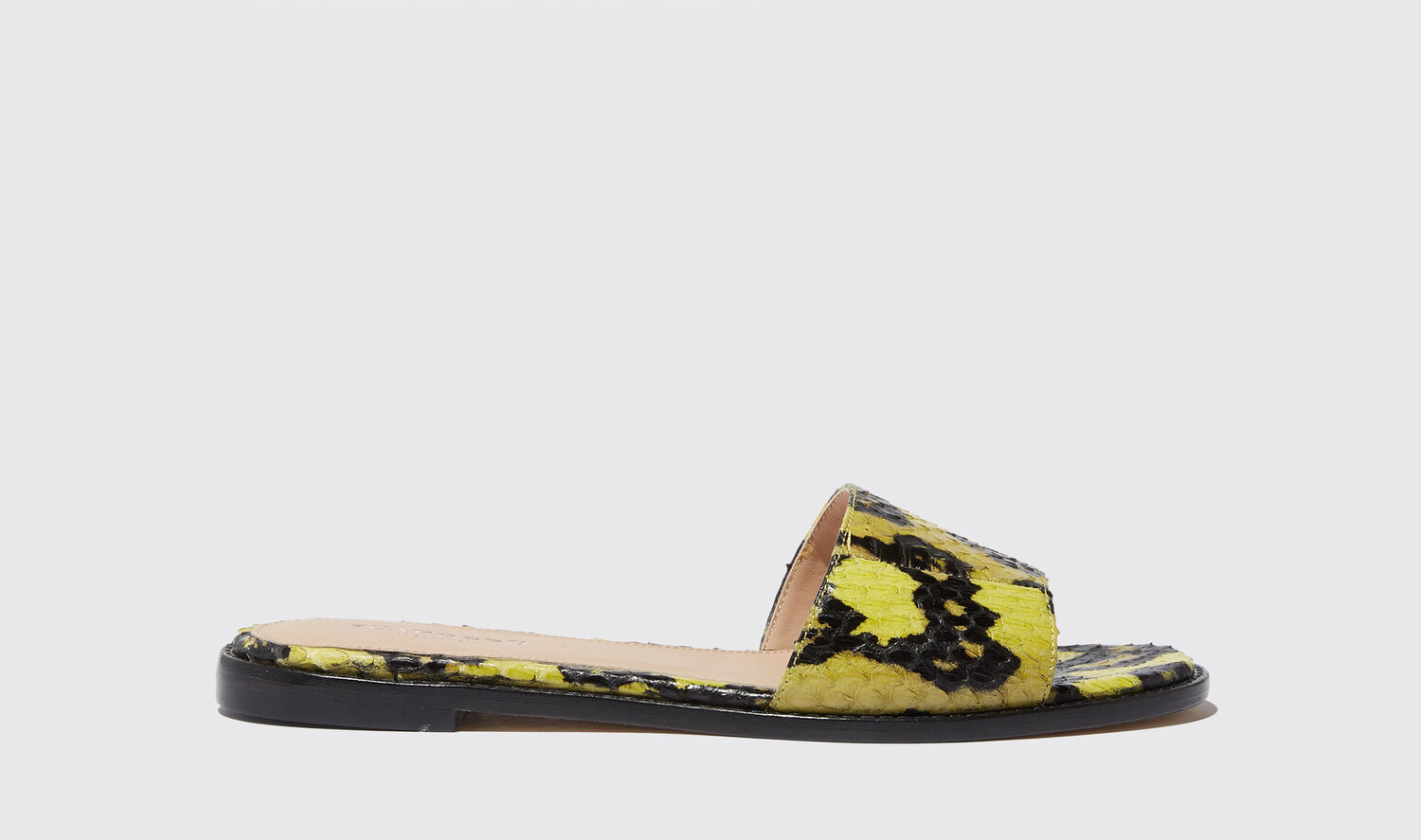 Shop Scarosso Federica Gialla Elaphe - Woman Sandals Yellow In Yellow - Elaphe
