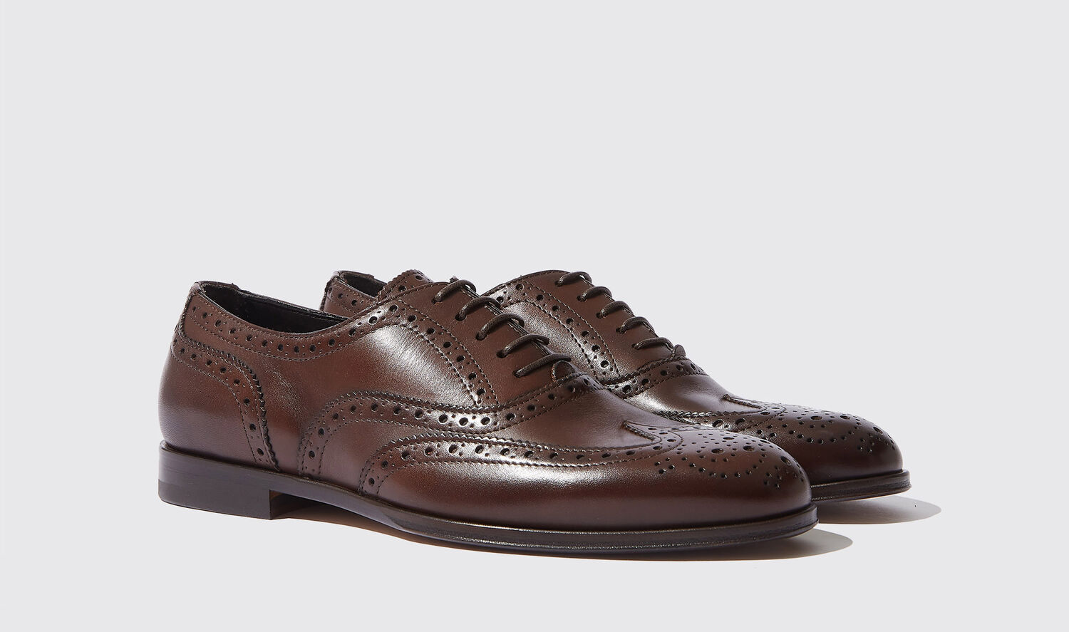 Shop Scarosso Judy Brown - Woman Oxfords Brown In Brown - Calf