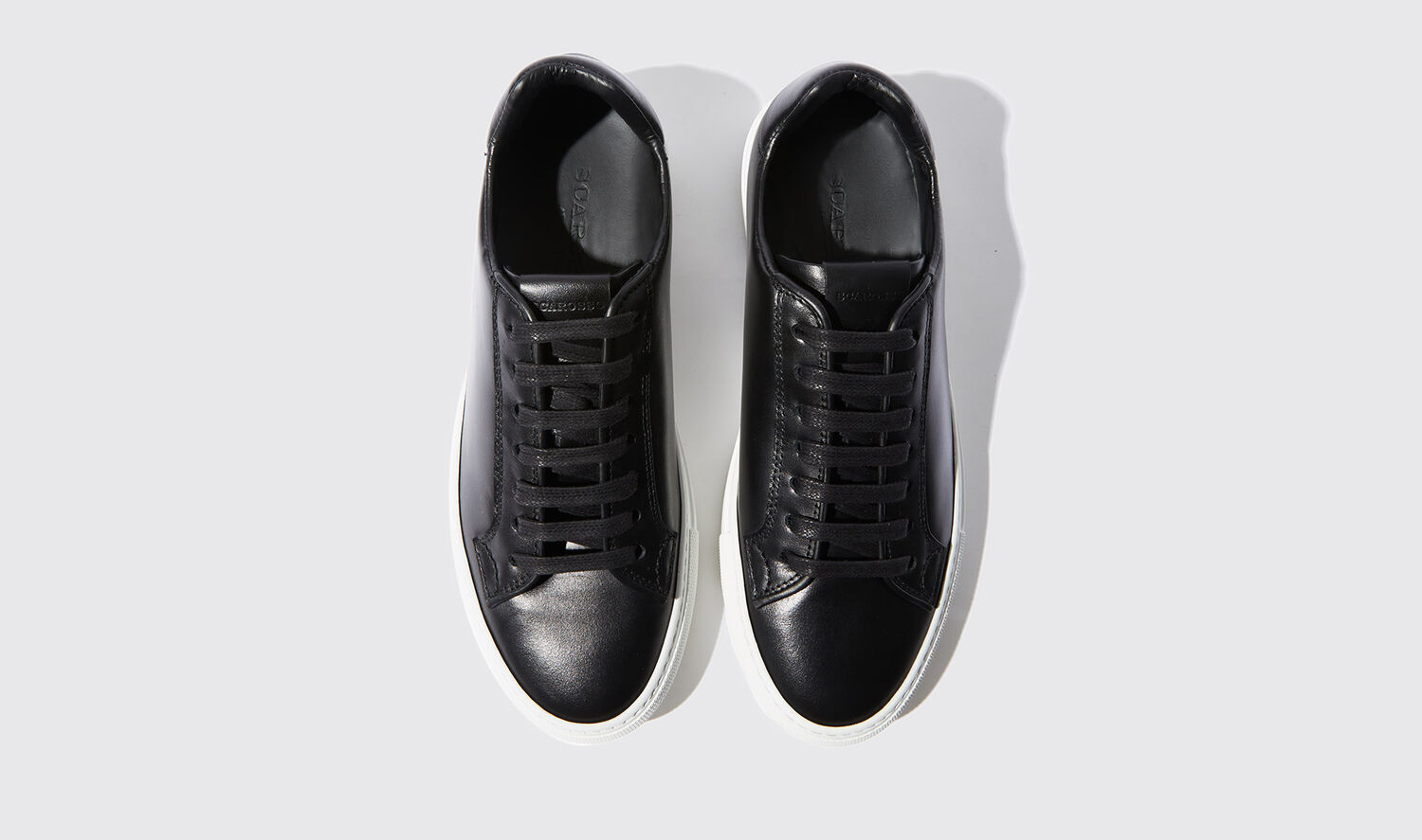 Shop Scarosso Cecilia Nera - Woman Sneakers Black In Black - Calf