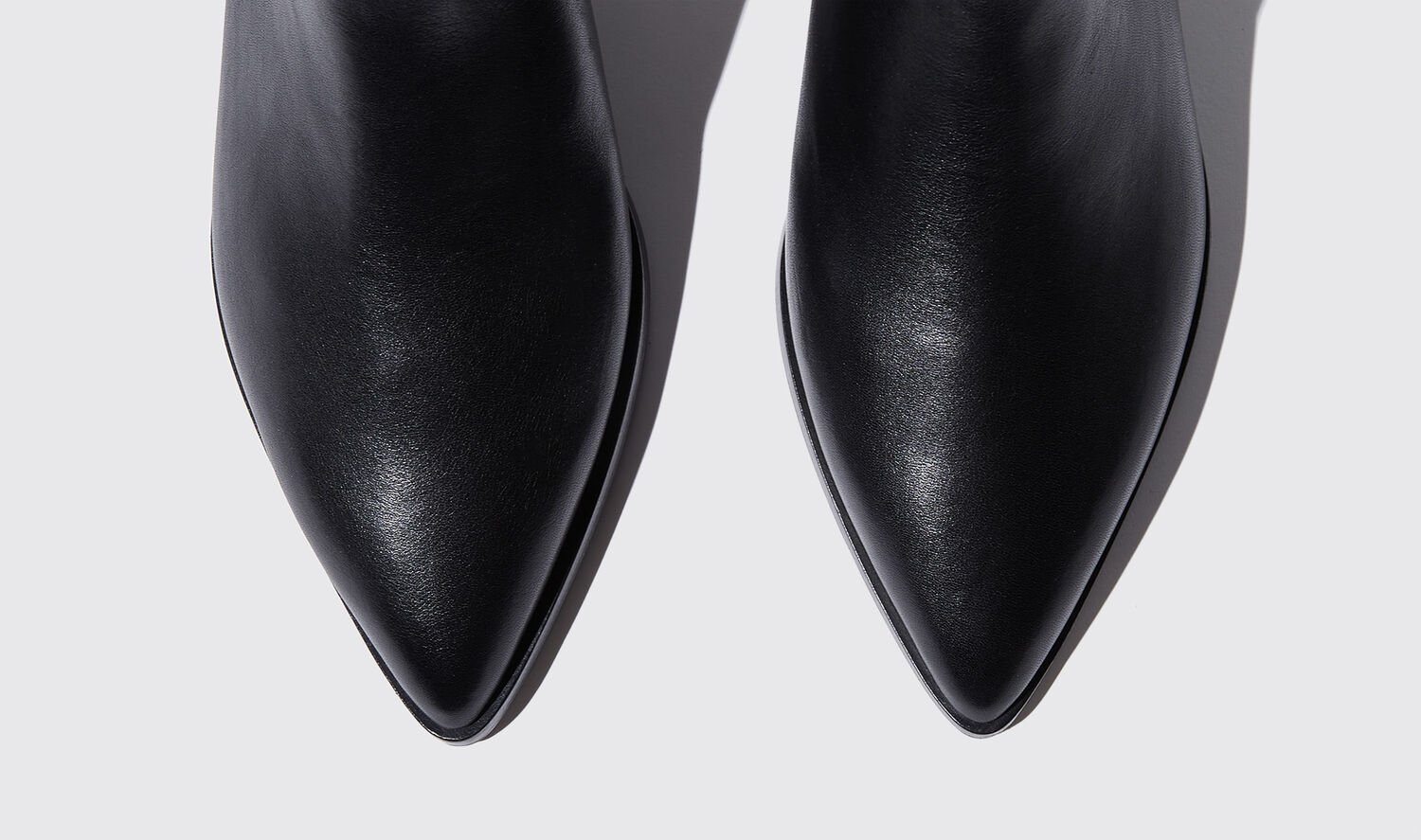 Shop Scarosso Olivia Nera - Woman Chelsea Boots Black In Black - Calf