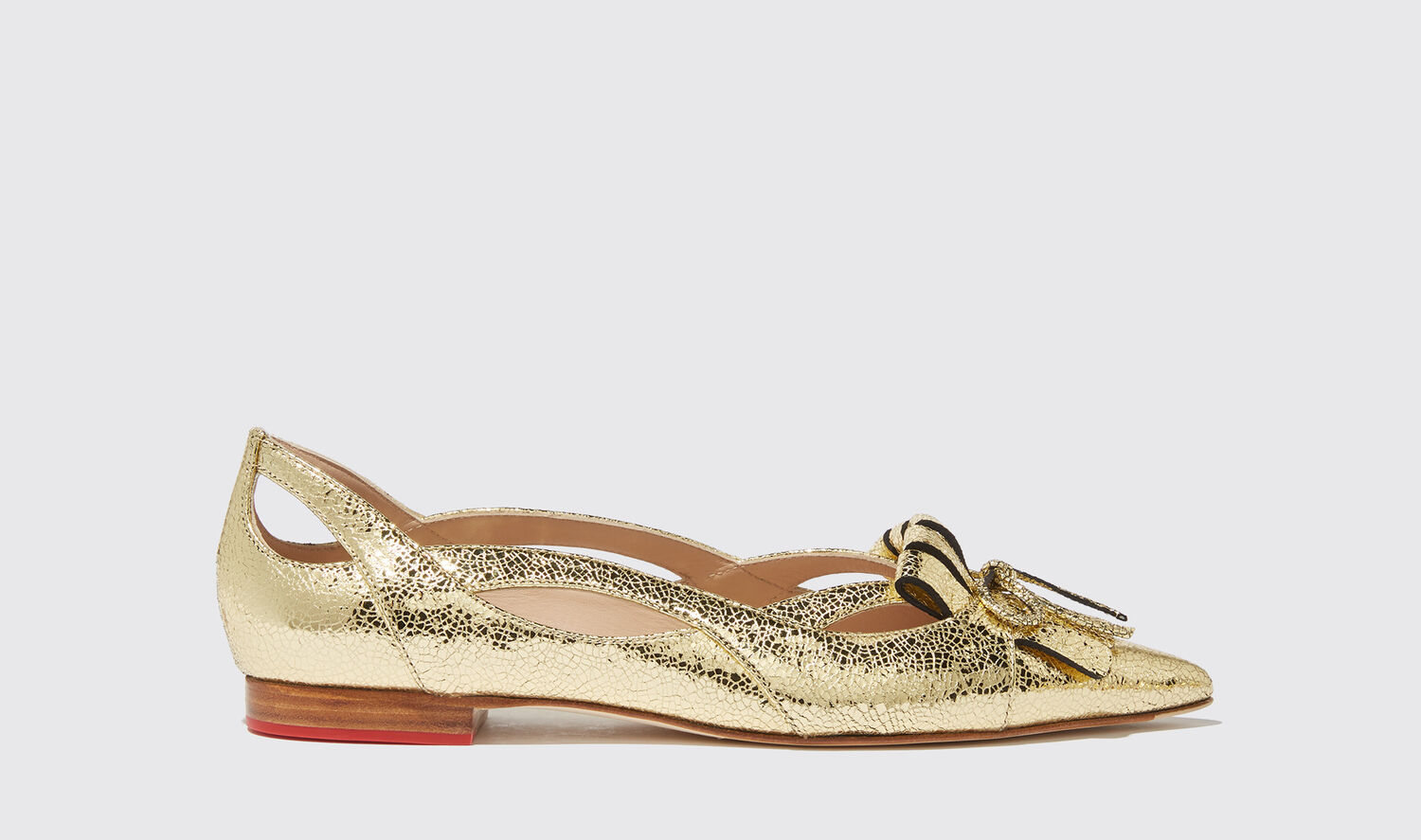 Shop Scarosso 24k - Woman Ballerinas Gold In Gold - Calf Leather