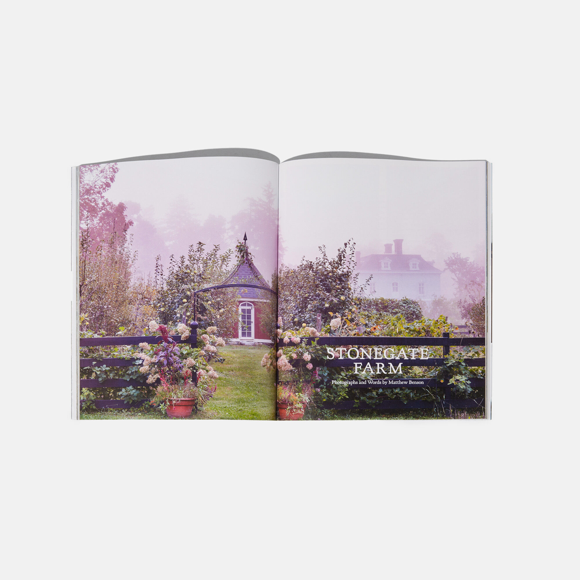 Scarosso YOLO Magazine Issue No.7 Issue No.7 YOLOMAGA