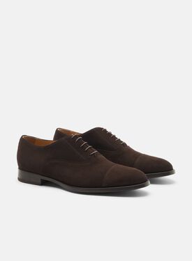 Cesare Dark Brown Suede Scarosso: Brown Suede CESAREOXFO