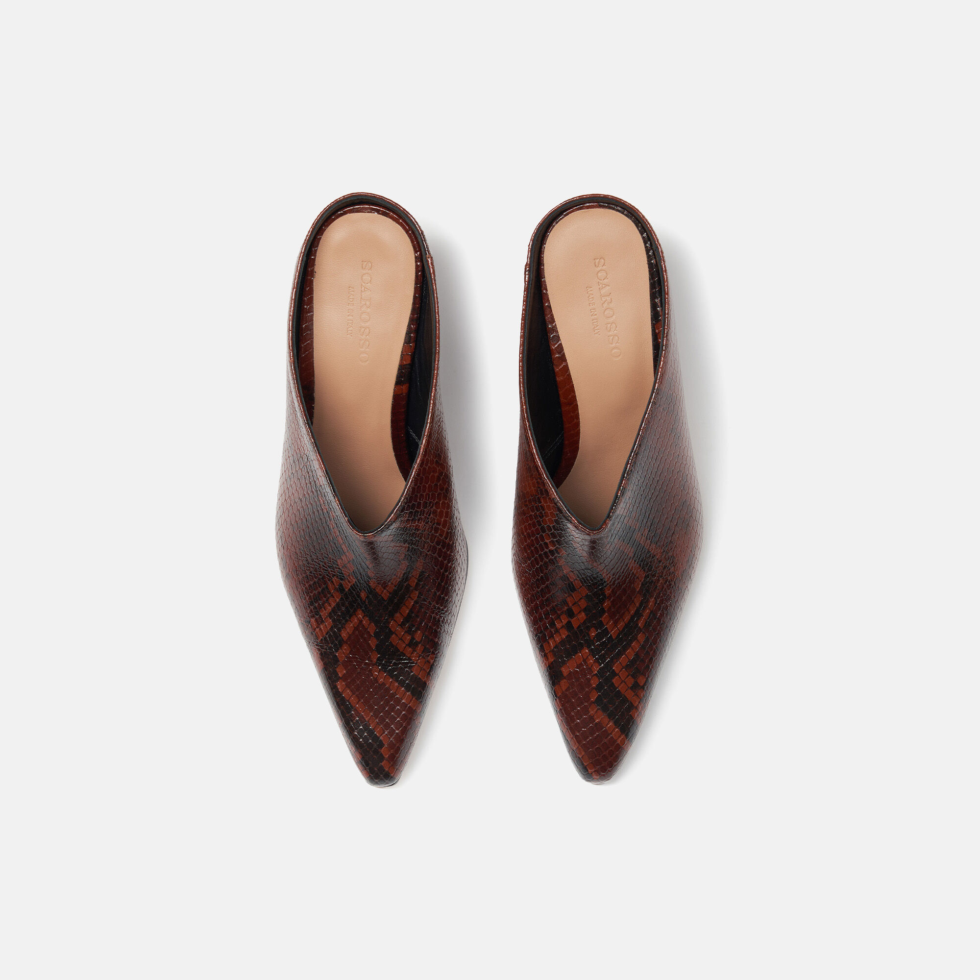 Scarosso Holly Serpent Marron Marron - Veau imprimé serpent HOLLYMULE