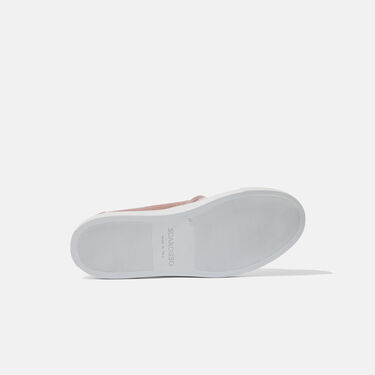 Scarosso Asia 玫瑰色丝绒 粉色丝绒 ASIASNEA