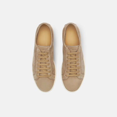Scarosso Camillo Taupe Nubuck Taupe - Nubuck CAMILLOSNEA