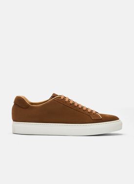 Scarosso Ugo Brown Suede Dark Brown - Knit ROBBIESNEA