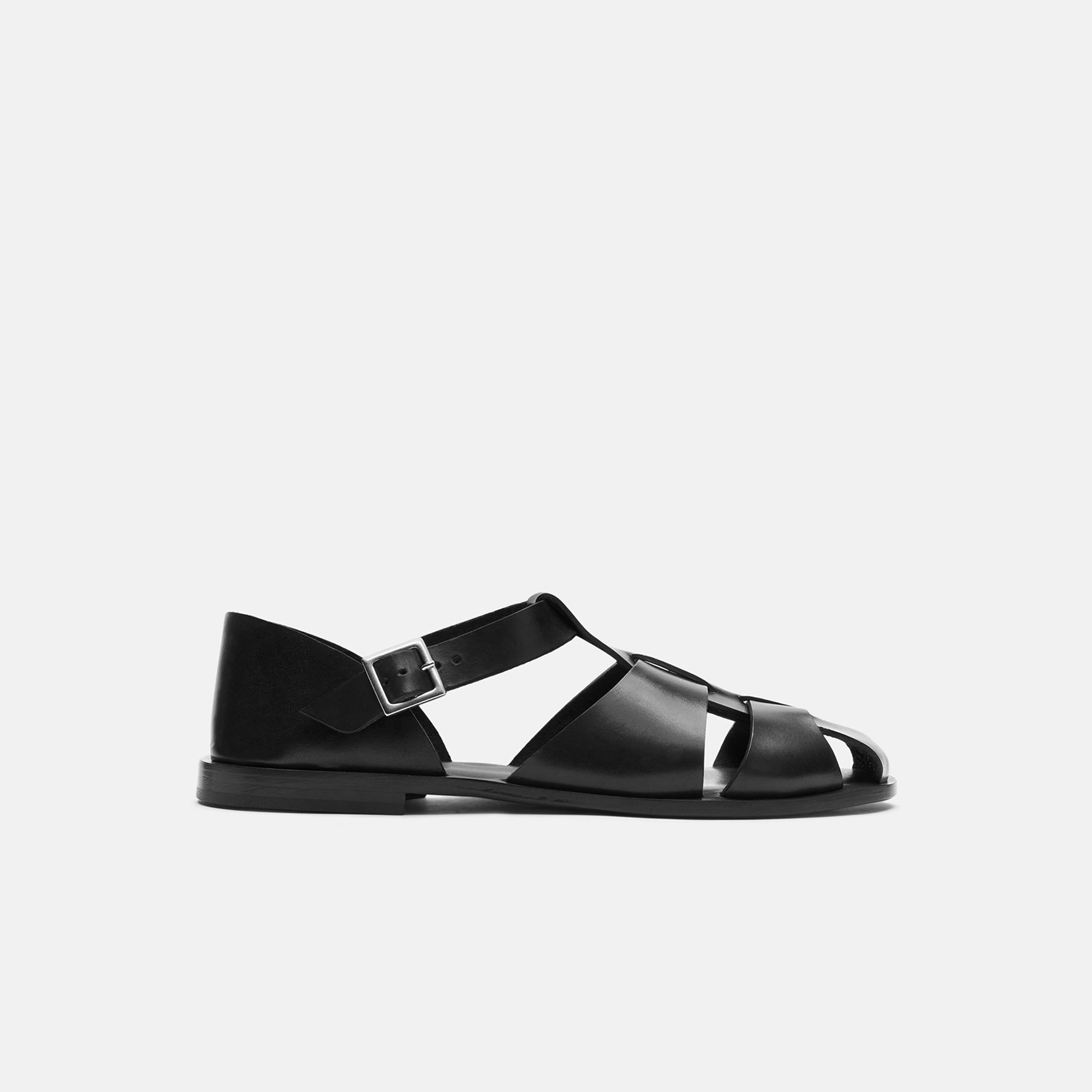 Scarosso Apollo Buckle-fastened Sandals In Black