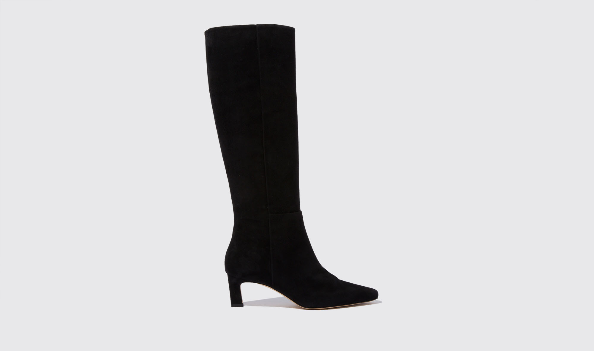 Scarosso Kira Black Suede - Woman Boots Black In Black - Suede