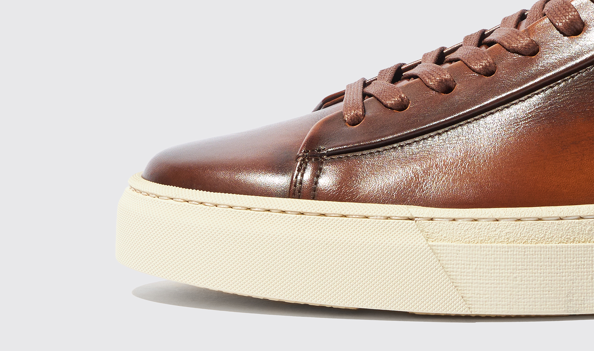 Shop Scarosso Joseph Brown - Man Sneakers Brown In Brown - Calf Leather
