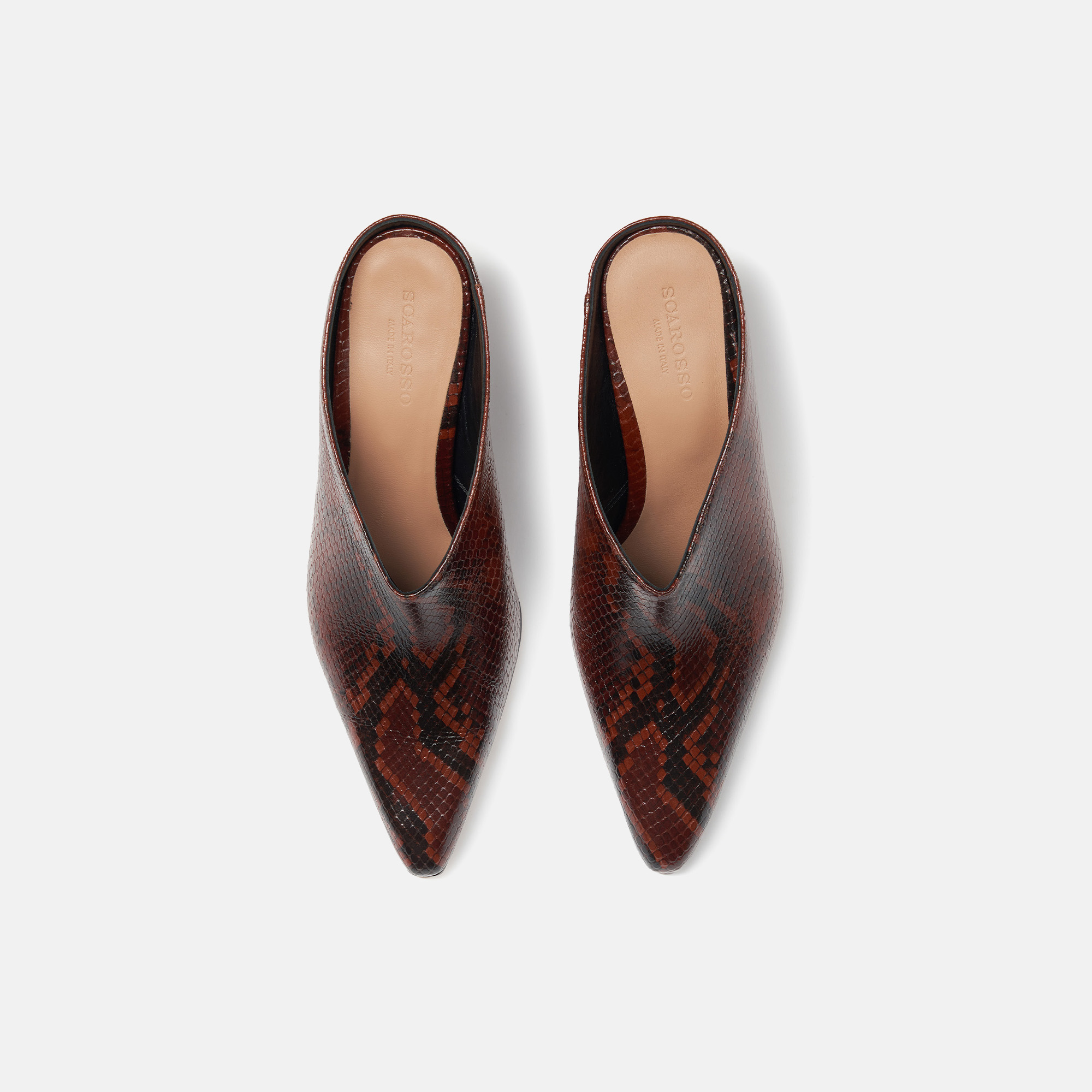 SCAROSSO SCAROSSO HOLLY BROWN SNAKE 