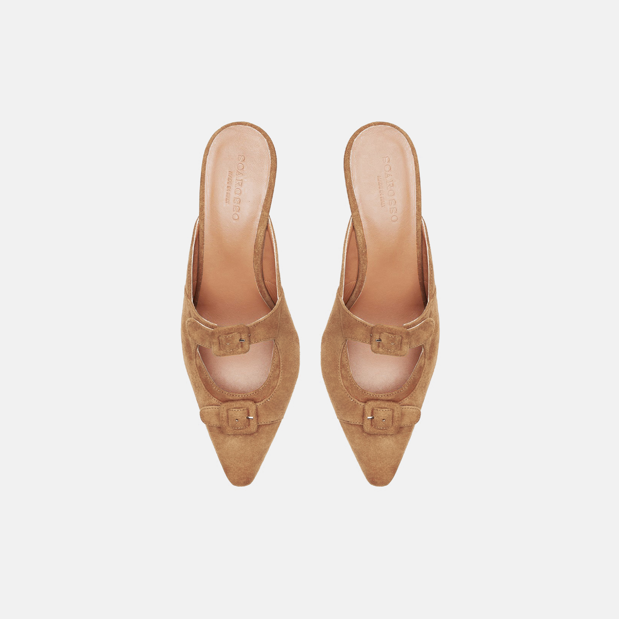 Shop Scarosso Liz Tan Suede - Woman Mules Tan In Tan - Suede