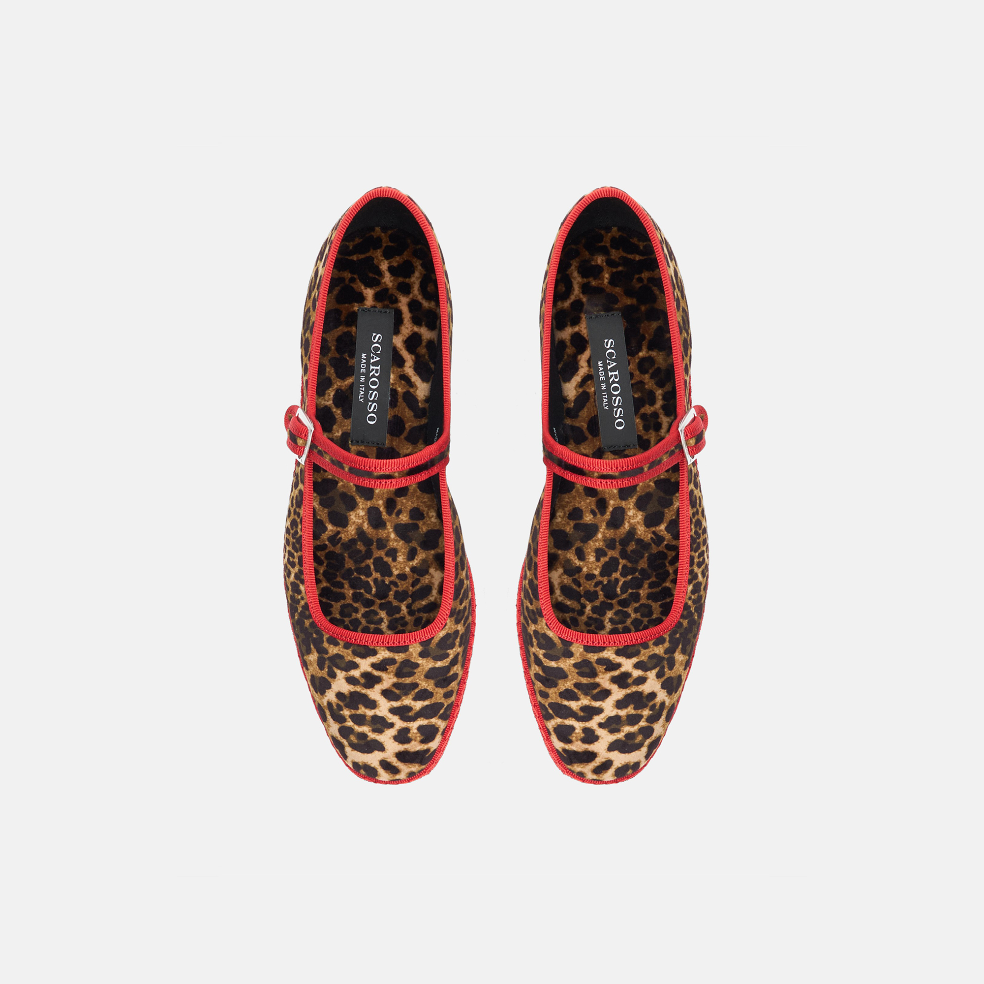 Scarosso Petra Velvet Ballerina Shoes In Leo - Velvet