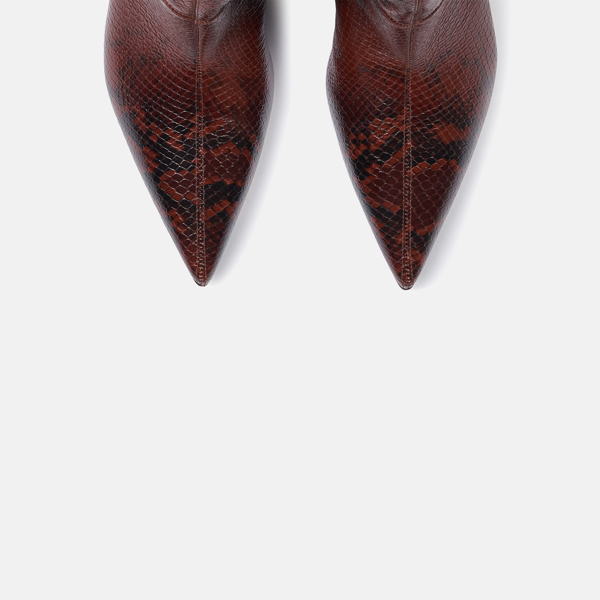 Scarosso Barbara Brown Snake In Brown - Snake-printed Calf