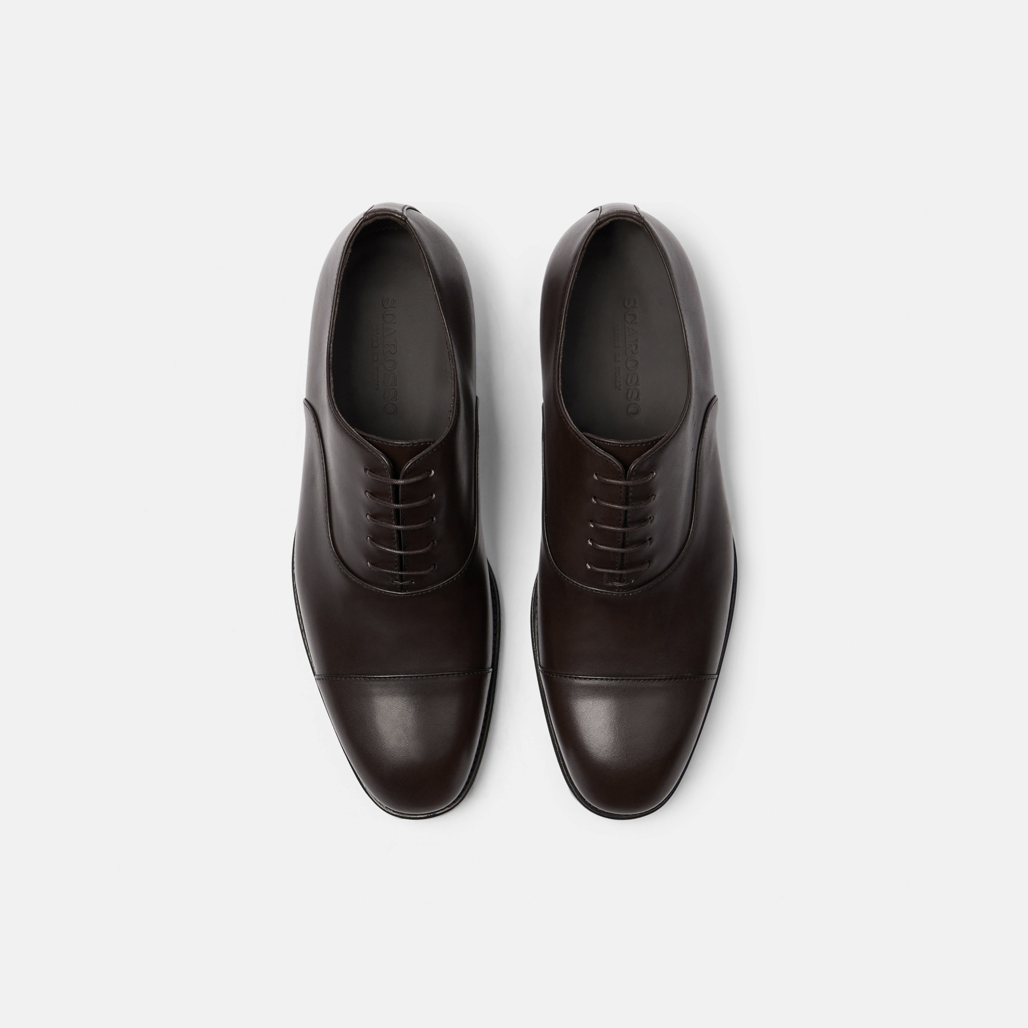 Shop Scarosso Salvatore Brown - Man Oxfords Brown In Brown - Calf