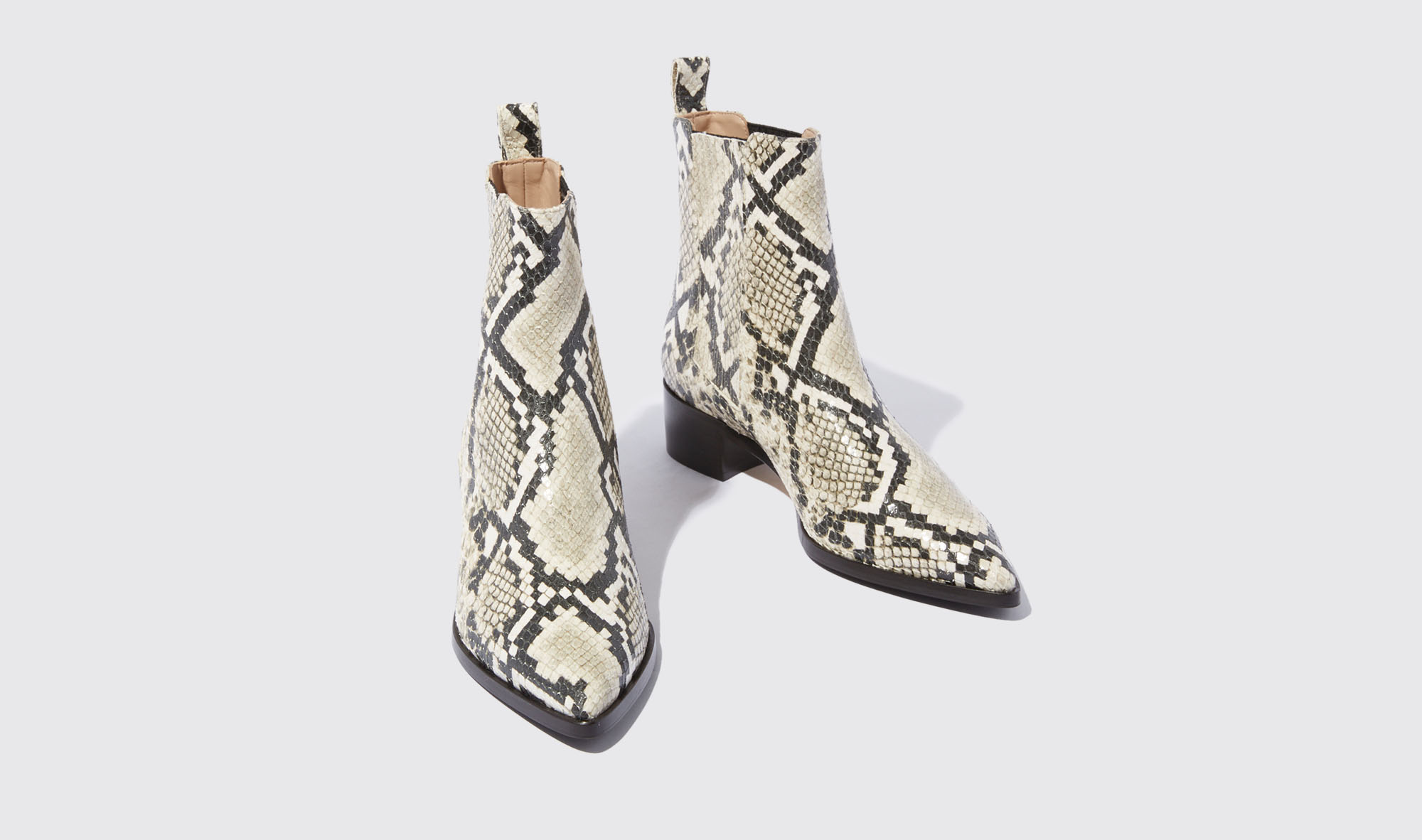 Shop Scarosso Olivia Python - Woman Boots Beige In Beige - Python-printed Calf