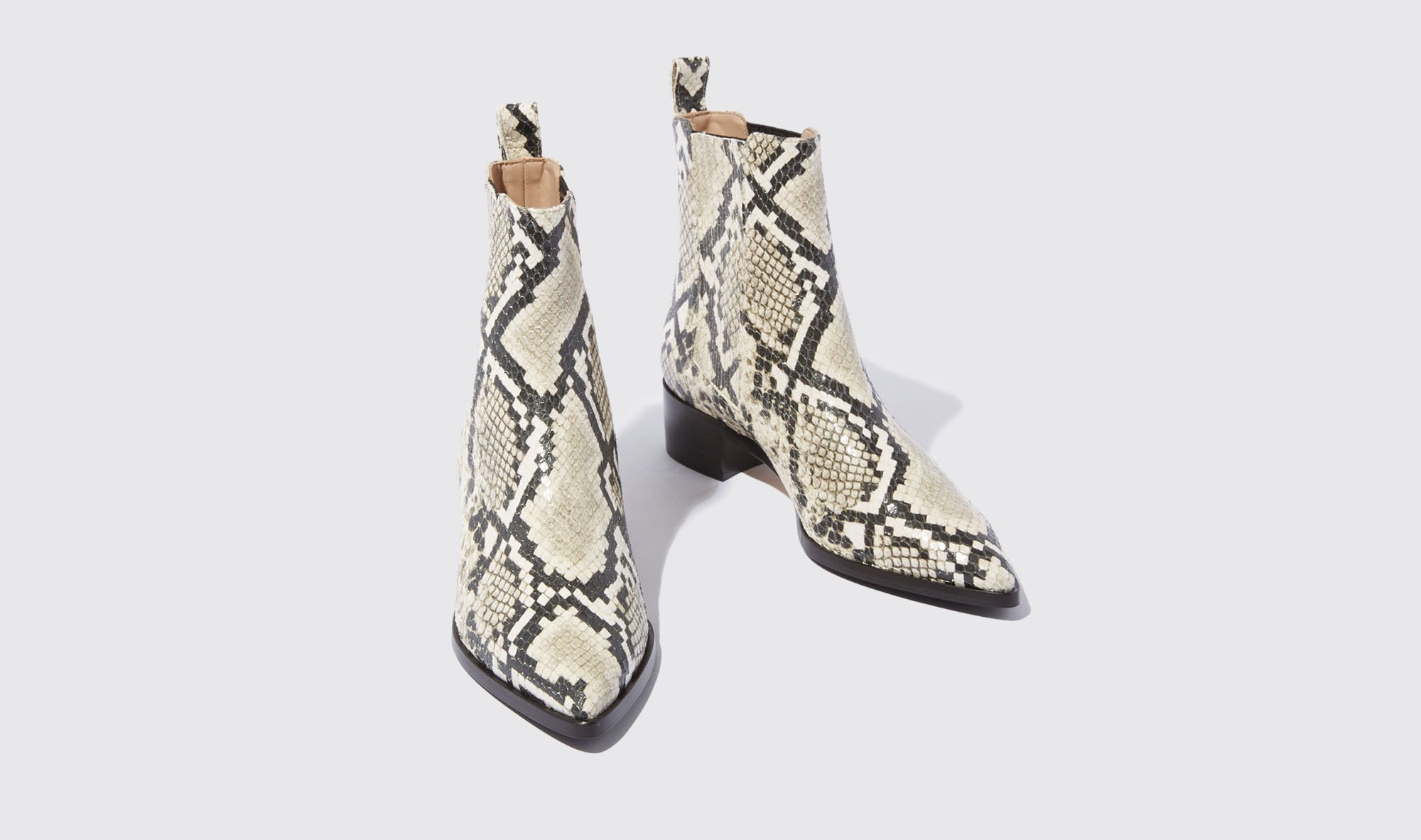 Shop Scarosso Olivia Python - Woman Chelsea Boots Beige In Beige - Python-printed Calf