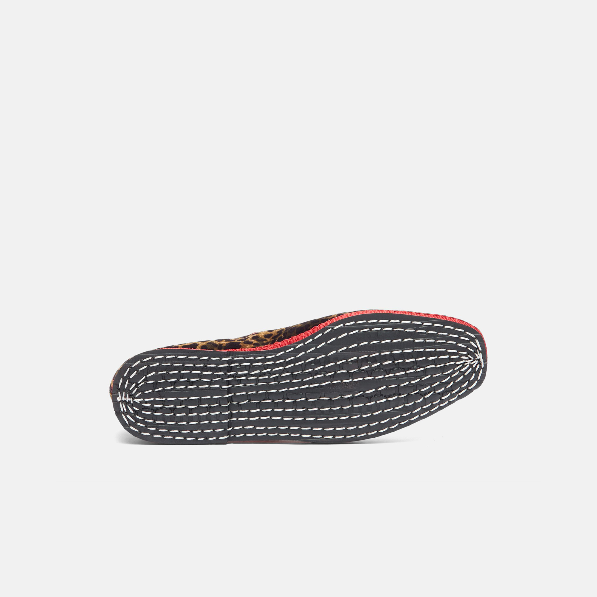 Scarosso Petra Velvet Ballerina Shoes In Leo - Velvet